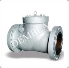 Check Valve