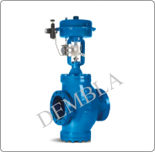 Globe Control Valve